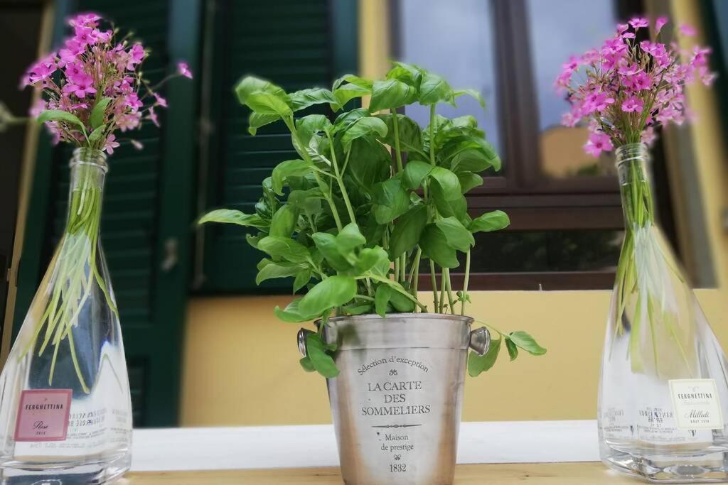 Flower Garden Apartment Vicino al Centro Florencia Exterior foto